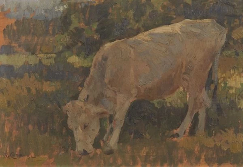 Vitellino al pascolo